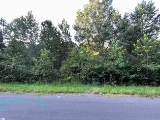 44 Packforest, Taylors, SC 29687