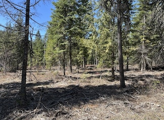 0 Nna Butler Creek Rd Unit 23245373, Cocolalla, ID 83813