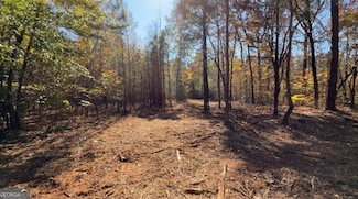 TRACT A Russellville Rd, Forsyth, GA 31029