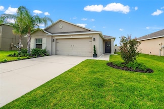 10512 Fuzzy Cattail St, Riverview, FL 33578