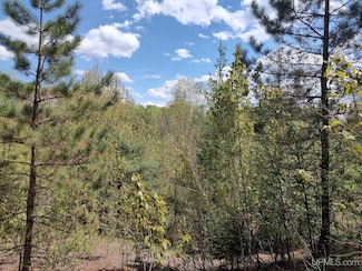 TBD Dunham Rd, Marenisco, MI 49947