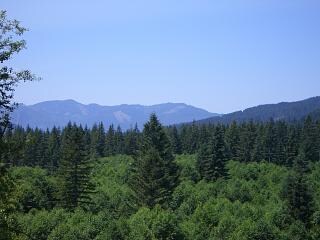 192 Shady Creek Rd, Ariel, WA 98603