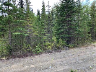 L7 Terpsichore Ct, Kasilof, AK 99610