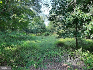 0 Ferrell Rd, South Harrisn Township, NJ 08062