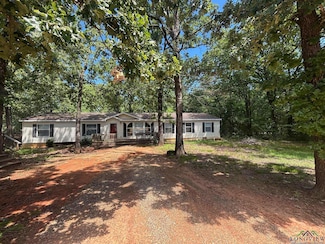 71 Cr 2606, Pittsburg, TX 75686
