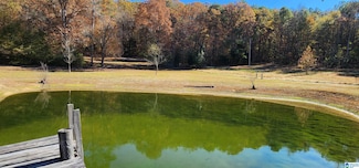 352 Kudzu Rd, Oneonta, AL 35121