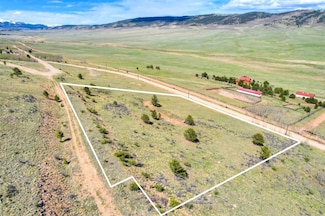3525 Redhill Rd, Fairplay, CO 80440