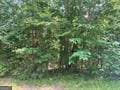 0 Buffalo Lick Rd Unit 10551234, Union Point, GA 30669