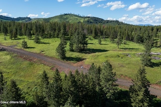 Parcel 3 Sunflower Drive Santa Creek Estates, St. Maries, ID 83861