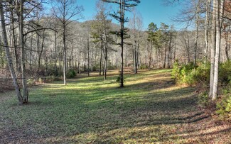 37 AC Black Ankle Creek Rd, Cherry Log, GA 30522