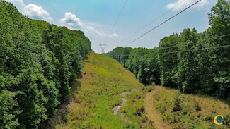 0 Catheys Creek Rd Unit 25510509, Hampshire, TN 38461