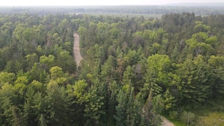 Parcel A Cherry Creek Rd, Grayling, MI 49738
