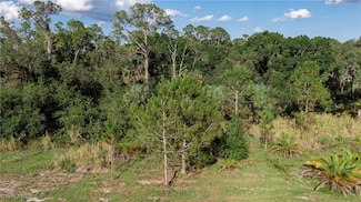 578 Nobles Rd, Labelle, FL 33935