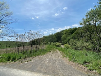91 Tunnel 75 Cr 221 Rd, Port Crane, NY 13833