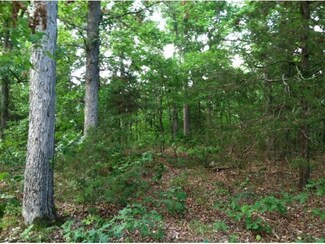 0 Moore's Bend Rd, Cedar Creek Township, MO 65627