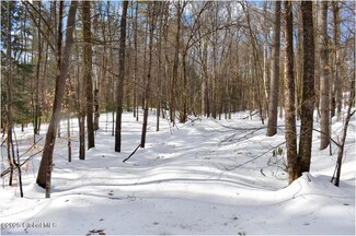 L93 Highview Ln Unit Lot 9, Wevertown, NY 12886