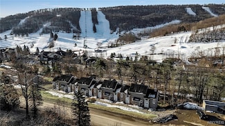 507 Deer Crossing Rd Unit 4-507, Ellicottville, NY 14731