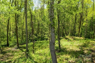 9999 Bee Balm Way Unit 55, Asheville, NC 28804