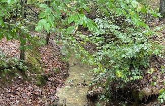 0 Cave Branch Rd Unit RTC2817585, Dickson, TN 37055