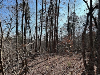 0 Slabtown Rd, Licking, MO 65542