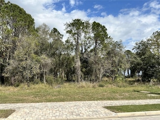 17233 Etruscan Ln, Montverde, FL 34756
