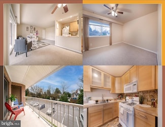 105 Fitz Ct Unit 202, Reisterstown, MD 21136