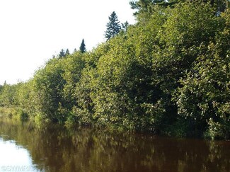 0 E River Rd, Garfield Township, MI 49762