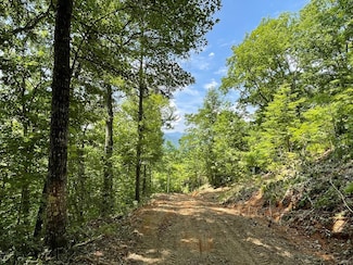 0 Upper Bell Creek Rd, Hayesville, NC 28904