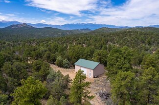 453 & 533 Kevin Dr, Cotopaxi, CO 81223