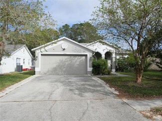 13112 Royal George Ave, Odessa, FL 33556