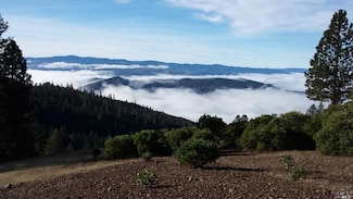 48950 Bentley Ridge Rd, Covelo, CA 95428