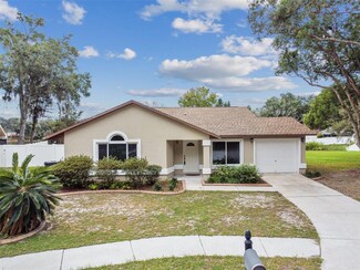 1403 Tiller Way, Valrico, FL 33594