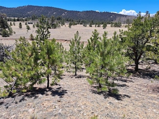 1038 Costella Dr, Hartsel, CO 80449