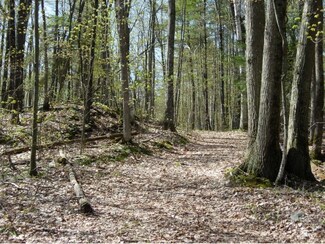 0 Hooker Moss Lane Rd, Leicester, VT 05733