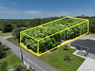 2009 E Marcia St, Inverness, FL 34453
