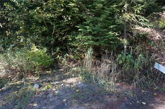 41 Lot Snoqualmie Village Dr, Snoqualmie Pass, WA 98068