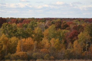 N265 County Road T, Endeavor, WI 53930