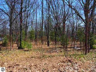 00 Fashion Ave, Interlochen, MI 49643