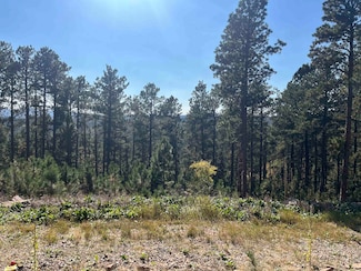 11795 Gilt Edge Rd, Deadwood, SD 57732