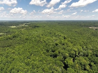 5799 Tolarsville Rd, Saint Pauls, NC 28384