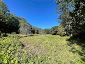 5 Lahar Rd, Marlboro, VT 05351