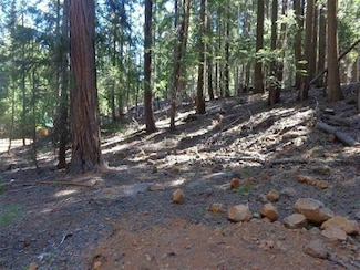 411 E Big Meadows Rd, Canyon Dam, CA 95923