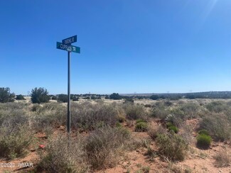 0 No Address Unit 245824, Snowflake, AZ 85937