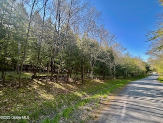 L16 Bruce Porn Rd, Stamford, NY 12167