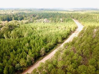 TBD 10.2+/- County Road 2310, Woodville, TX 75979