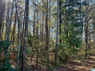 Lots 9 & 16 Lane Ave Unit Lots 9 & 16, Roanoke, AL 36274
