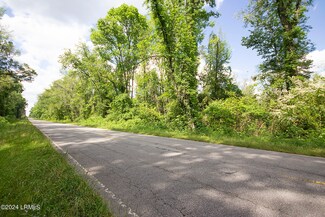 TBD Savannah Hwy, Furman, SC 29921