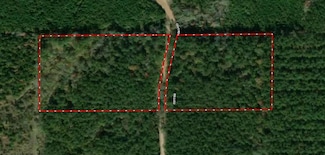 TBD Coyt Rd, Waynesboro, MS 39367