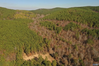 200 AC County Road 651, Piedmont, AL 36272