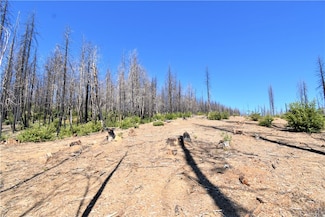 0 Bald Rock Rd Unit OR22196360, Berry Creek, CA 95916